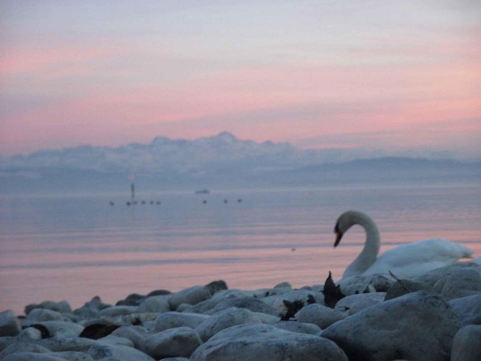 Haus Alpenblick Appartement Immenstaad am Bodensee Buitenkant foto